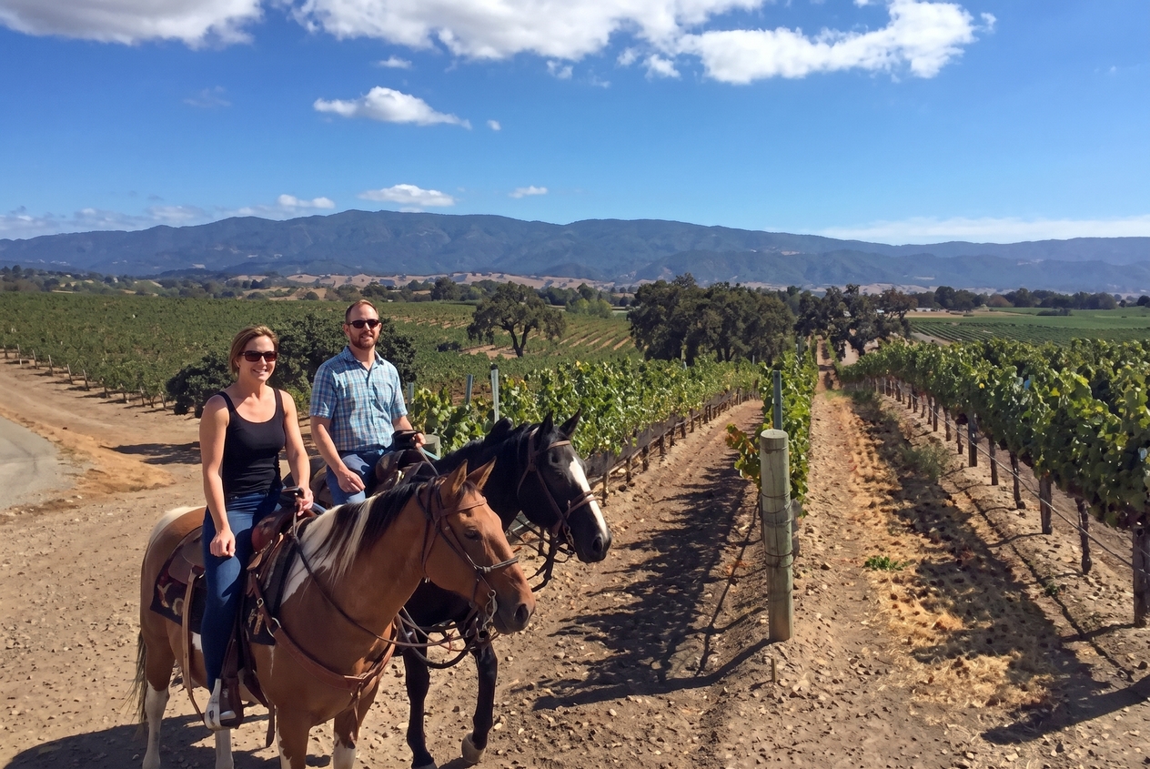 Horseback riders in wine country
