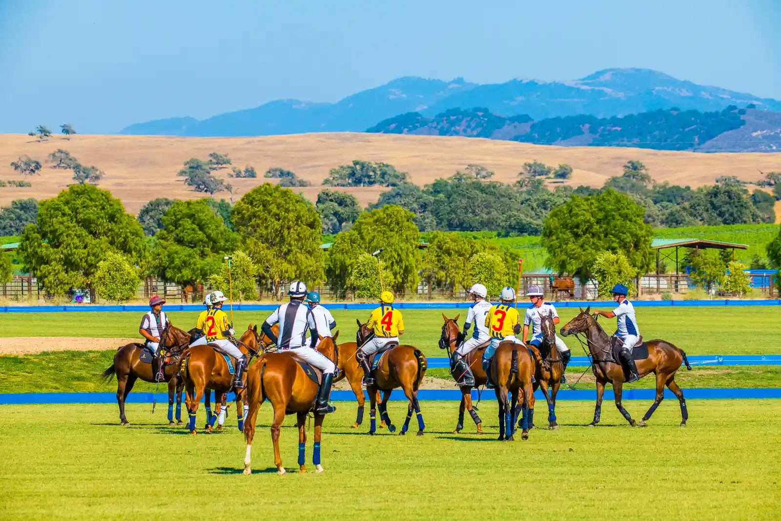 Polo teams gather mid-field at La Herradura Polo Club beneath the golden hills of the Santa Ynez Valley